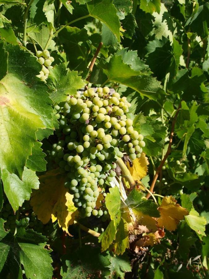 Agriturismo Gelso Castellana Sicula Εξωτερικό φωτογραφία
